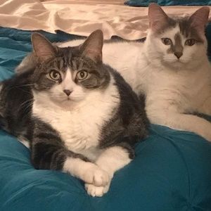 Meet your Posher, Christina